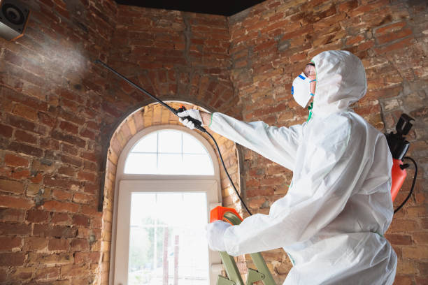 Best Commercial Mold Inspection  in University Heights, IA